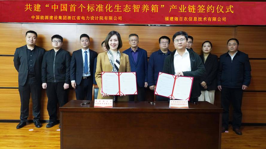 福建高新网络
